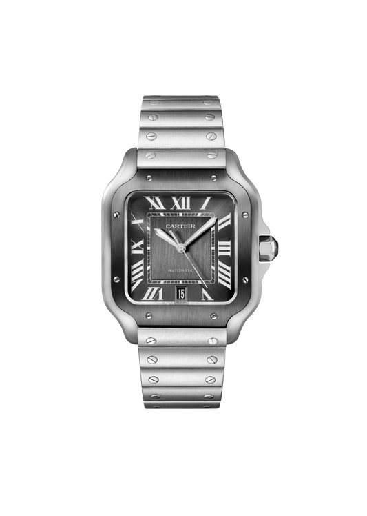 Santos de Cartier Watch